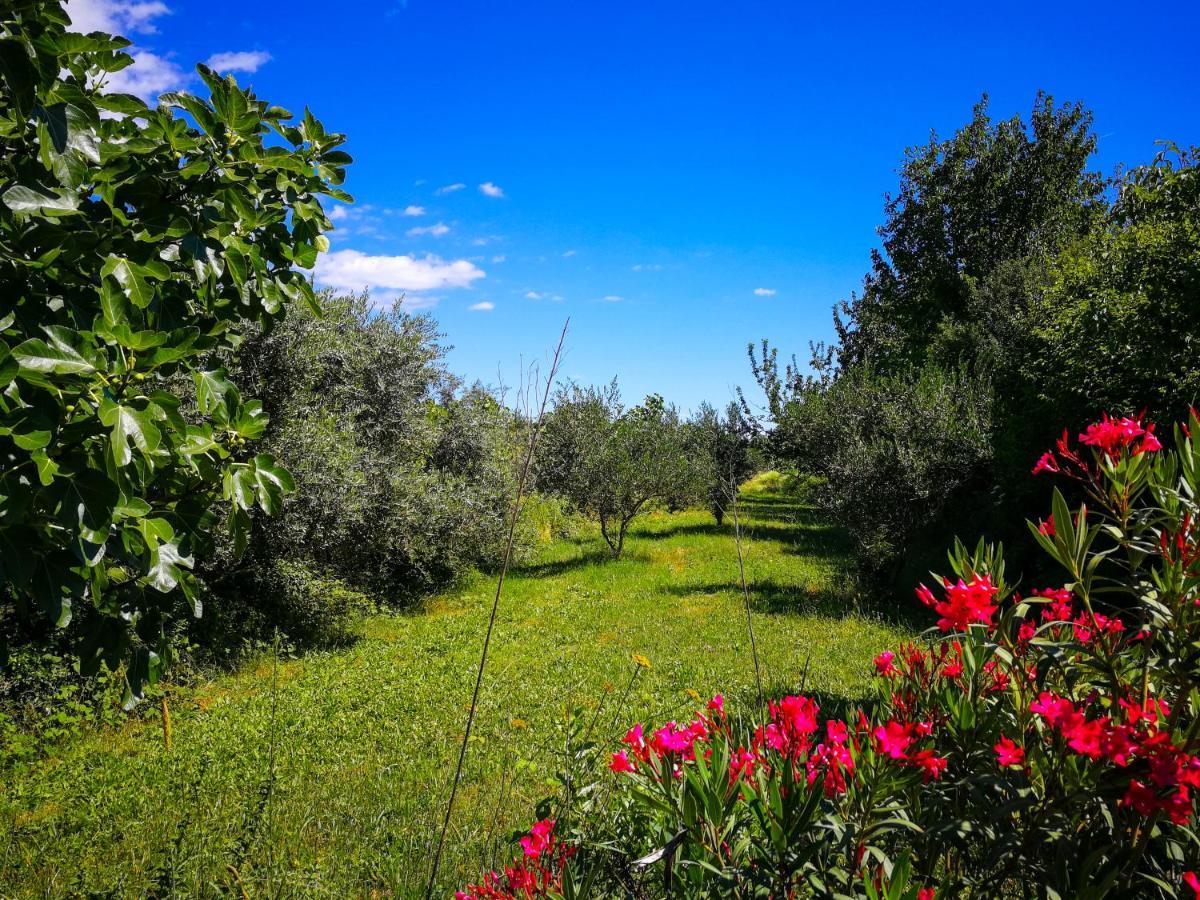 Ecohouse Oliveglia Βίλα Šilo Εξωτερικό φωτογραφία