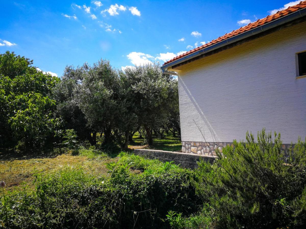 Ecohouse Oliveglia Βίλα Šilo Εξωτερικό φωτογραφία